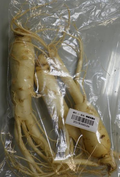 人参